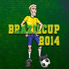 كأس البرازيل 2014